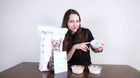 Pretty Litter Lettiera per gatti che assorbe gli odori e segnala eventuali problemi di salute.