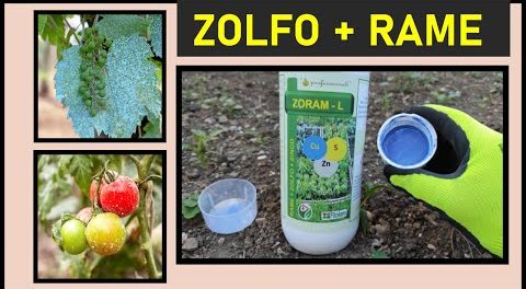 RAME e ZOLFO contro le malattie fungine dell’orto e del frutteto