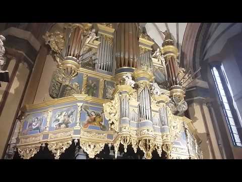 Gordon Young – Preludio in stile classico – Organo a Frombork