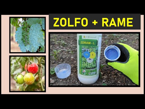 RAME e ZOLFO contro le malattie fungine dell’orto e del frutteto