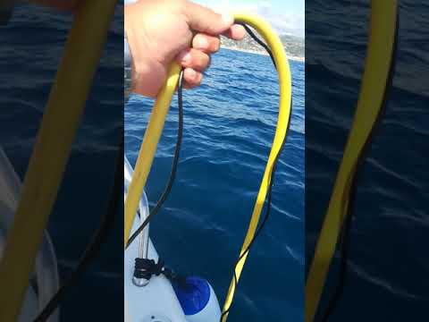 La vasca per il vivo fai da te che nessuno ti spiega